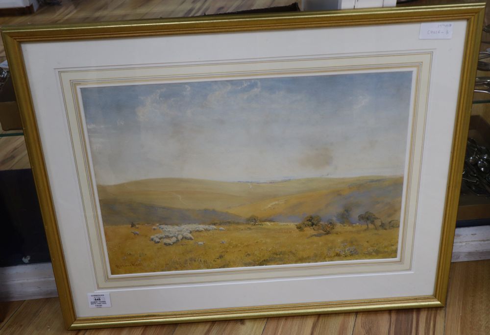 Robert Thorne Waite (1842-1935), watercolour, The Sussex Downs, signed, 36 x 53cm